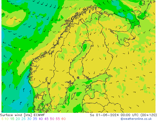 Viento 10 m ECMWF sáb 01.06.2024 00 UTC