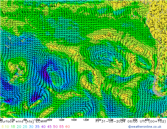 Wind 10 m ECMWF vr 31.05.2024 06 UTC