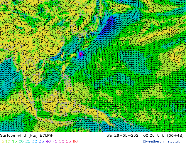 Surface wind ECMWF We 29.05.2024 00 UTC