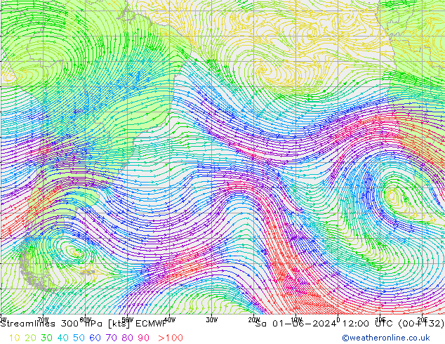 Streamlines 300 hPa ECMWF Sa 01.06.2024 12 UTC