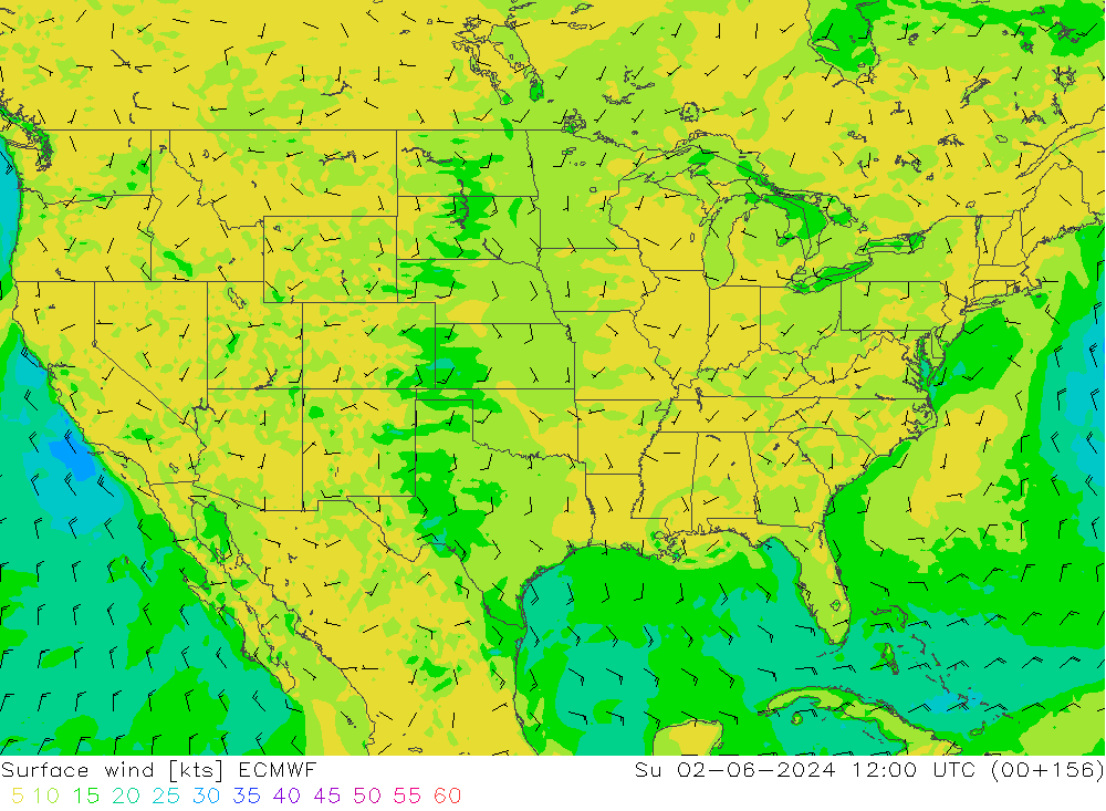 Prec 6h/Wind 10m/950 ECMWF Ne 02.06.2024 12 UTC