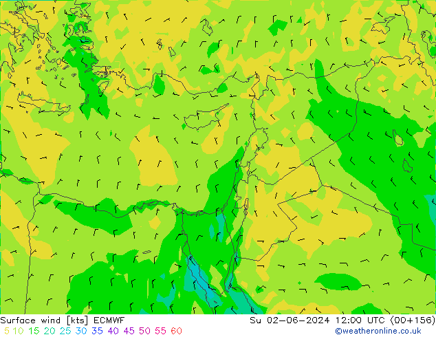 Vento 10 m ECMWF dom 02.06.2024 12 UTC