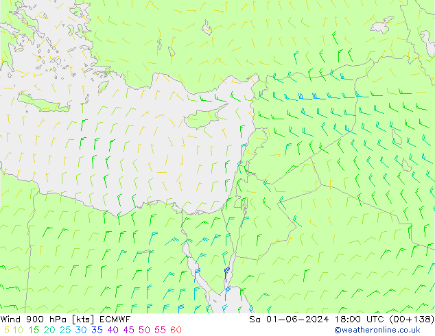 ветер 900 гПа ECMWF сб 01.06.2024 18 UTC