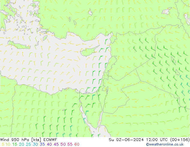 Rüzgar 950 hPa ECMWF Paz 02.06.2024 12 UTC