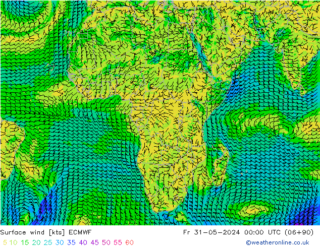 Surface wind ECMWF Fr 31.05.2024 00 UTC