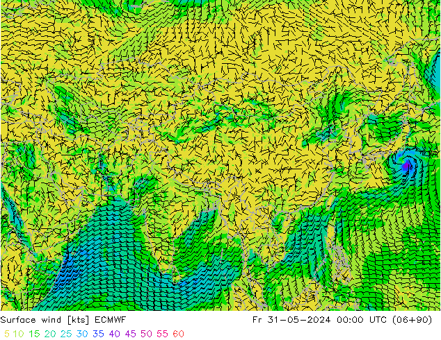 Surface wind ECMWF Fr 31.05.2024 00 UTC