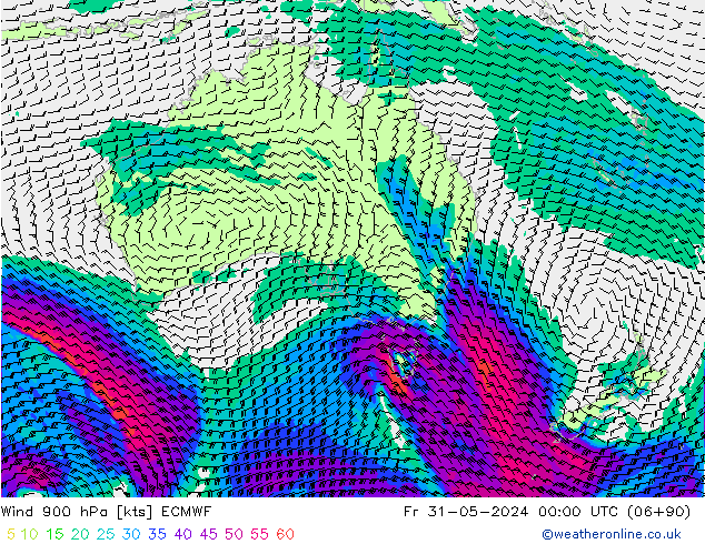 wiatr 900 hPa ECMWF pt. 31.05.2024 00 UTC