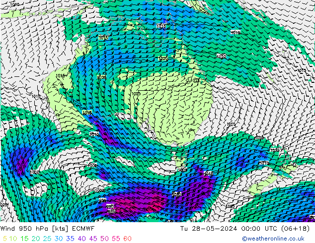 ветер 950 гПа ECMWF вт 28.05.2024 00 UTC