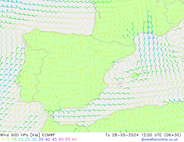 Wind 900 hPa ECMWF Tu 28.05.2024 12 UTC