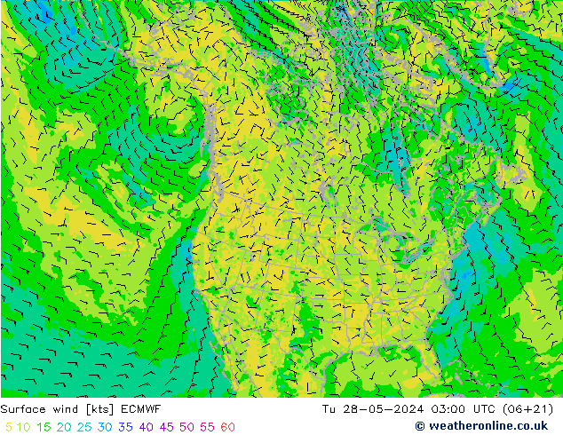 Surface wind ECMWF Tu 28.05.2024 03 UTC