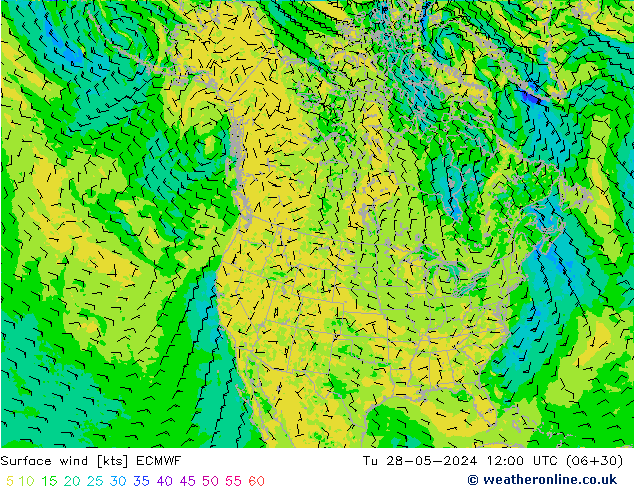 Surface wind ECMWF Tu 28.05.2024 12 UTC