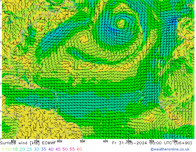 ветер 10 m ECMWF пт 31.05.2024 00 UTC