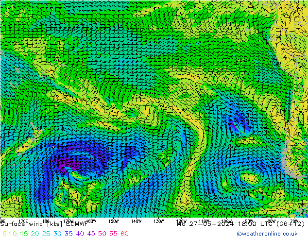 ветер 10 m ECMWF пн 27.05.2024 18 UTC