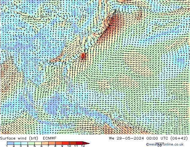 Surface wind (bft) ECMWF We 29.05.2024 00 UTC