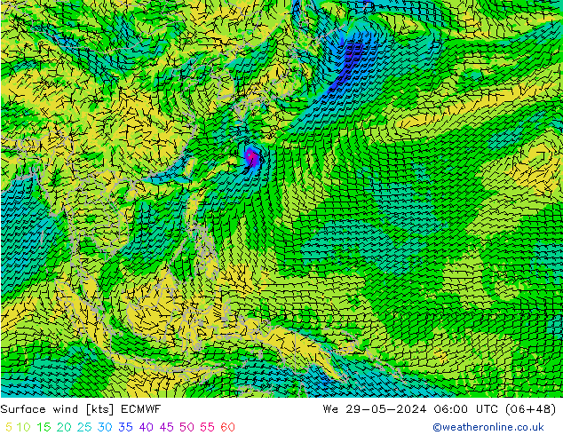 Surface wind ECMWF We 29.05.2024 06 UTC