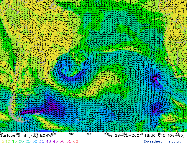 Bodenwind ECMWF Mi 29.05.2024 18 UTC