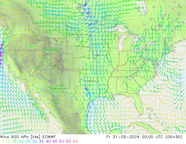 Wind 900 hPa ECMWF vr 31.05.2024 00 UTC