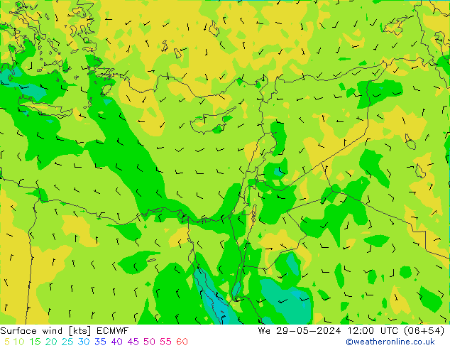 ветер 10 m ECMWF ср 29.05.2024 12 UTC