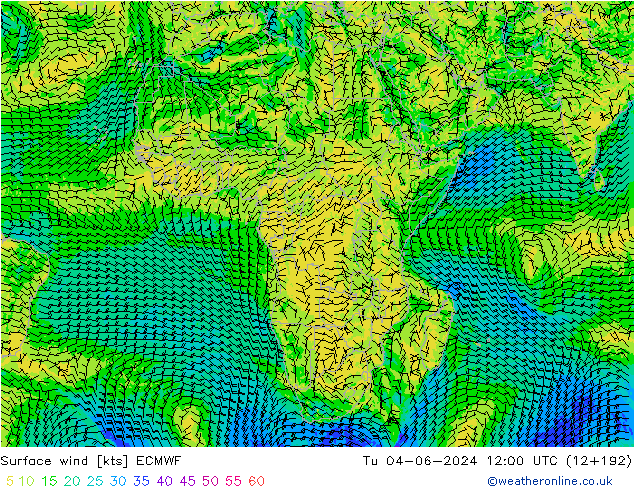 Surface wind ECMWF Tu 04.06.2024 12 UTC