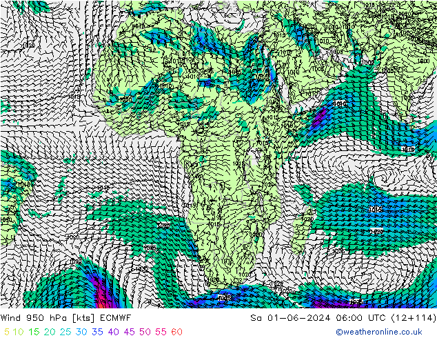 Vento 950 hPa ECMWF Sáb 01.06.2024 06 UTC