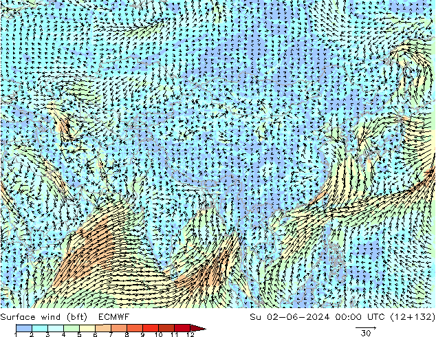 Wind 10 m (bft) ECMWF zo 02.06.2024 00 UTC