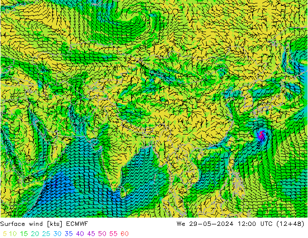 ветер 10 m ECMWF ср 29.05.2024 12 UTC