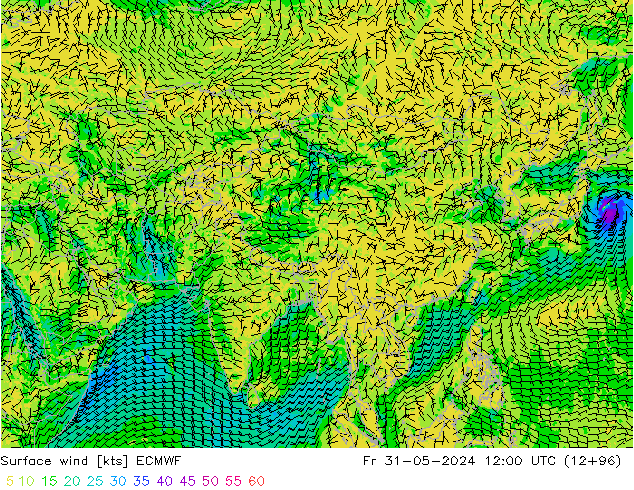 Surface wind ECMWF Fr 31.05.2024 12 UTC