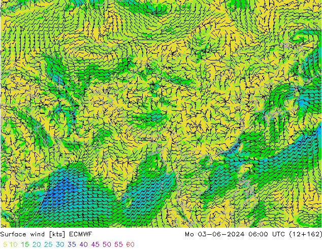 Wind 10 m ECMWF ma 03.06.2024 06 UTC