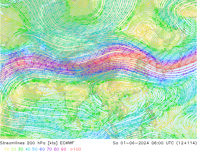 Streamlines 200 hPa ECMWF Sa 01.06.2024 06 UTC