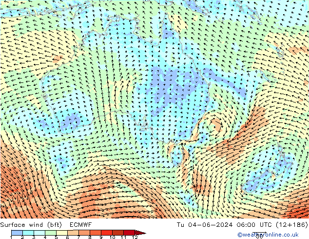 Vento 10 m (bft) ECMWF Ter 04.06.2024 06 UTC