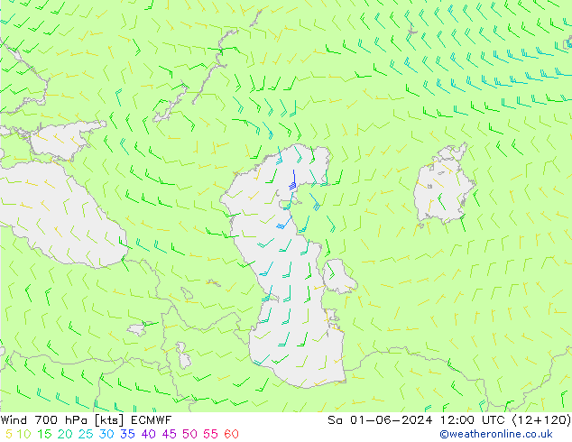 Wind 700 hPa ECMWF So 01.06.2024 12 UTC