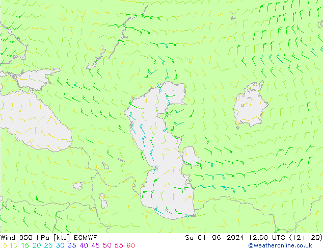 Wind 950 hPa ECMWF So 01.06.2024 12 UTC