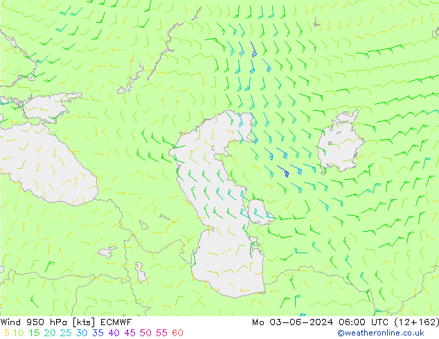 Rüzgar 950 hPa ECMWF Pzt 03.06.2024 06 UTC