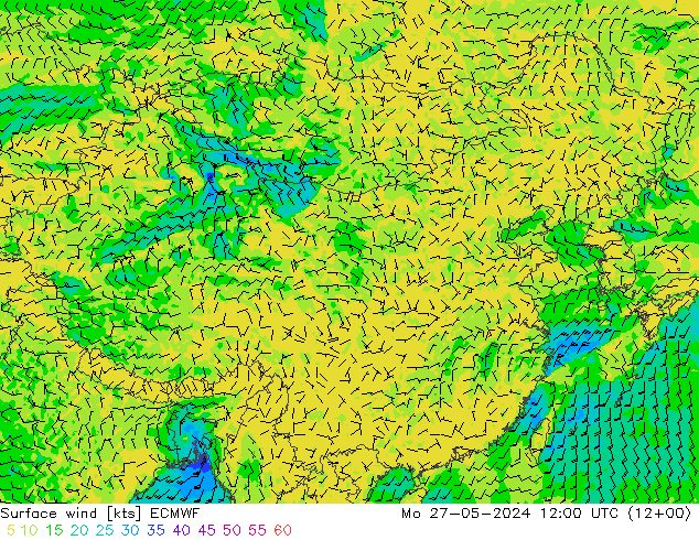 风 10 米 ECMWF 星期一 27.05.2024 12 UTC