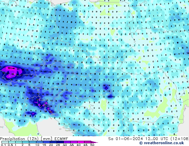 Precipitazione (12h) ECMWF sab 01.06.2024 00 UTC