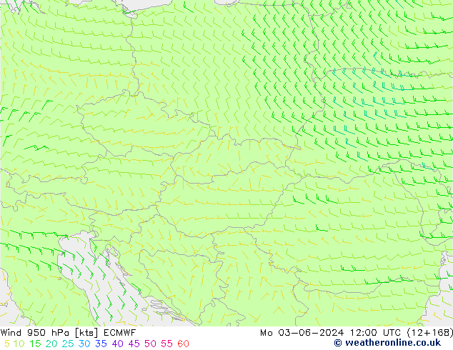 Wind 950 hPa ECMWF Mo 03.06.2024 12 UTC