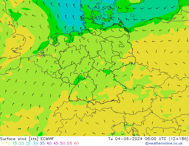 Surface wind ECMWF Tu 04.06.2024 06 UTC