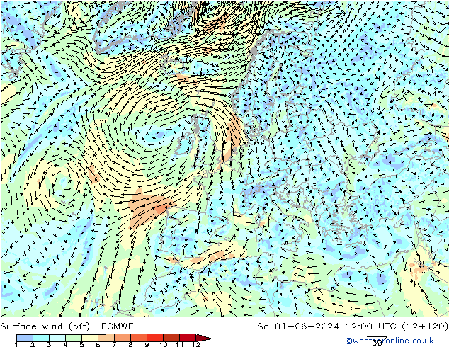 wiatr 10 m (bft) ECMWF so. 01.06.2024 12 UTC