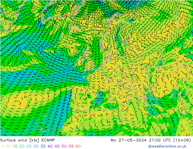 ветер 10 m ECMWF пн 27.05.2024 21 UTC