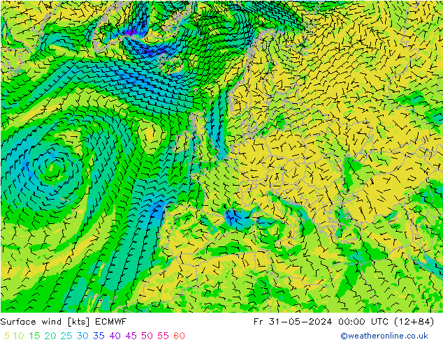 Surface wind ECMWF Fr 31.05.2024 00 UTC