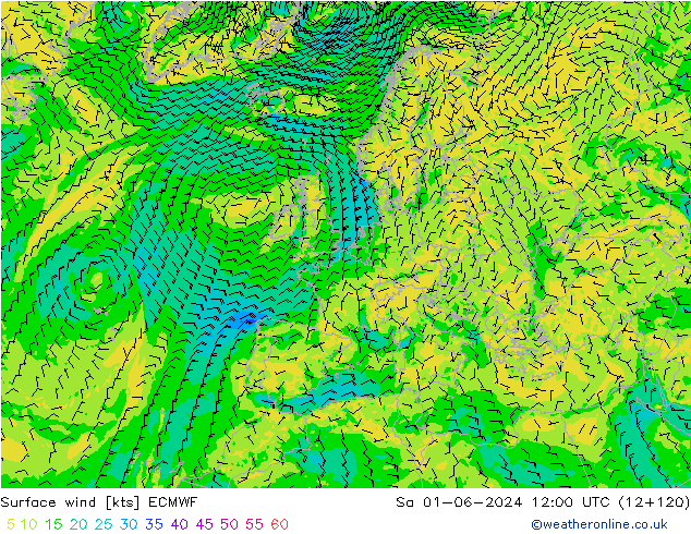 Surface wind ECMWF Sa 01.06.2024 12 UTC