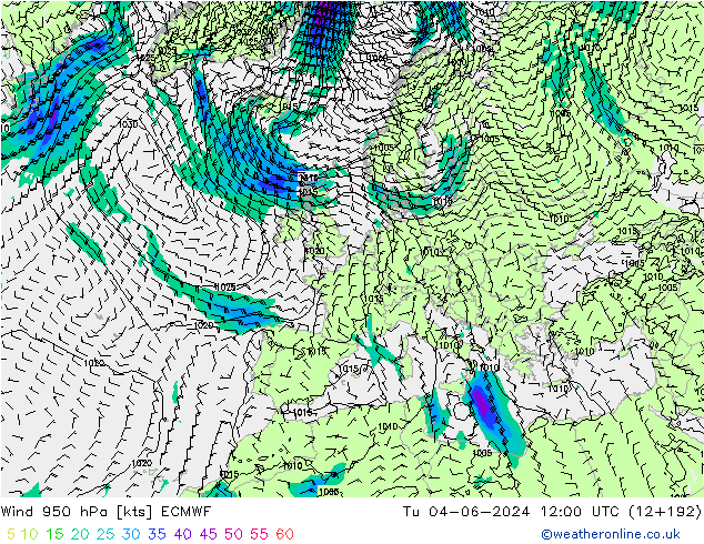 ветер 950 гПа ECMWF вт 04.06.2024 12 UTC