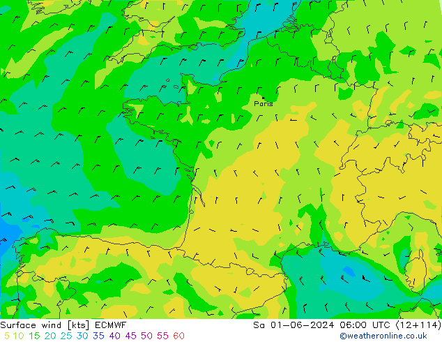 Surface wind ECMWF Sa 01.06.2024 06 UTC