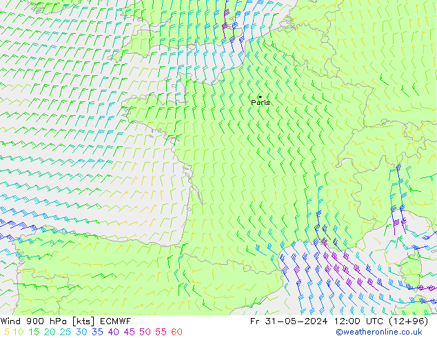 Wind 900 hPa ECMWF Fr 31.05.2024 12 UTC