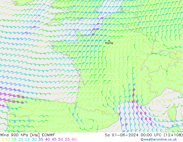 Vent 900 hPa ECMWF sam 01.06.2024 00 UTC