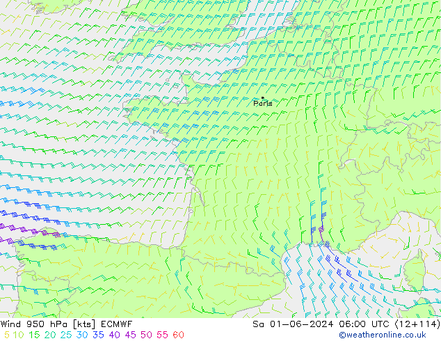 ветер 950 гПа ECMWF сб 01.06.2024 06 UTC