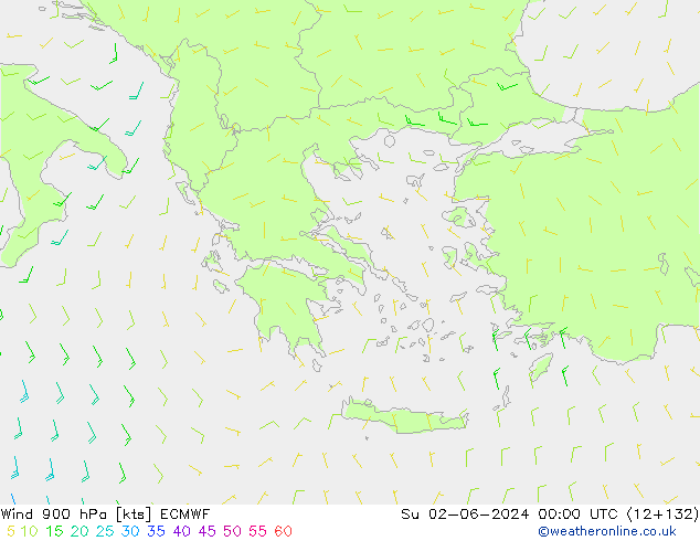 Wind 900 hPa ECMWF Ne 02.06.2024 00 UTC