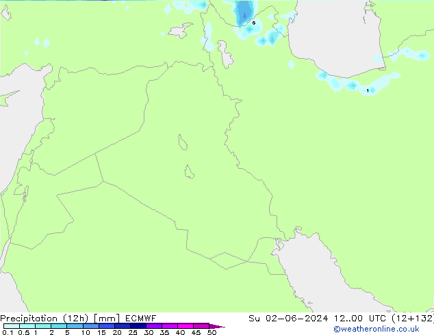 Precipitação (12h) ECMWF Dom 02.06.2024 00 UTC