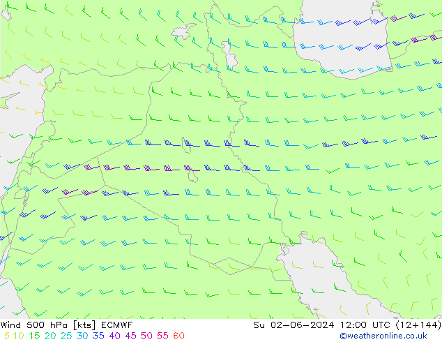 Wind 500 hPa ECMWF Ne 02.06.2024 12 UTC