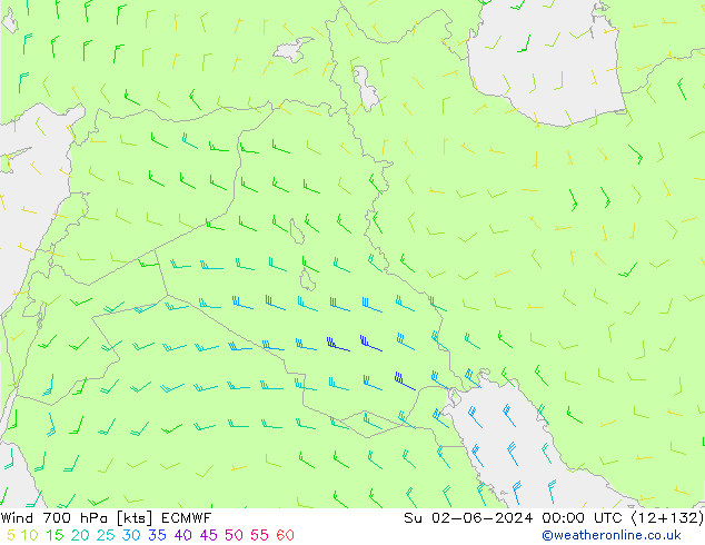 Wind 700 hPa ECMWF zo 02.06.2024 00 UTC